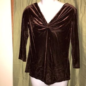 🌻 Jason Maxwell Velvet Petite Top